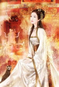 最牛贅婿