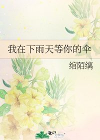 我在下雨天等你的伞